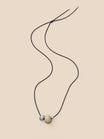 Ivory Nut